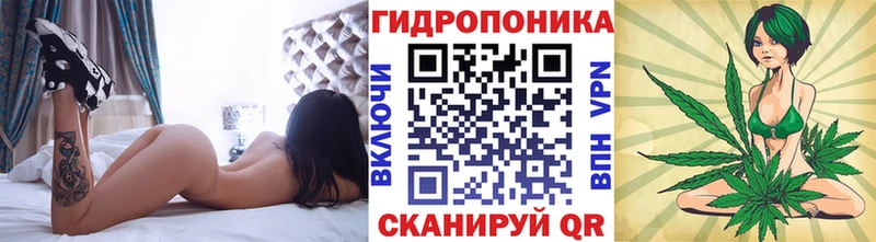  Cocaine Белая Холуница