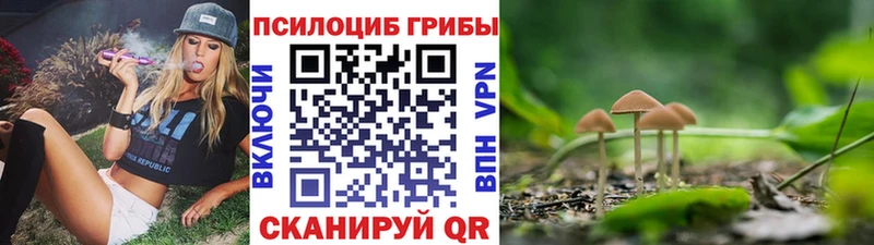 где купить наркоту  Белая Холуница  Псилоцибиновые грибы Psilocybe 